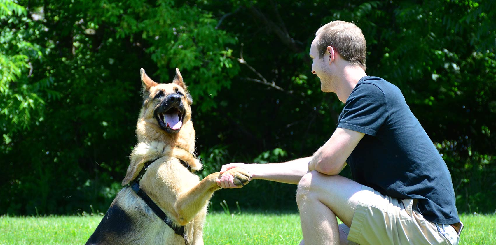 Kingsbrook Animal Hospital Vet in Frederick, MD, Adamstown