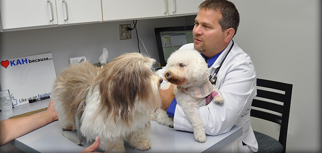 Veterinarians | Kingsbrook Animal Hospital, Frederick, MD 21703