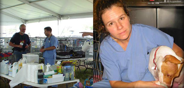 hurricane katrina support from kingsbrook animal hospital