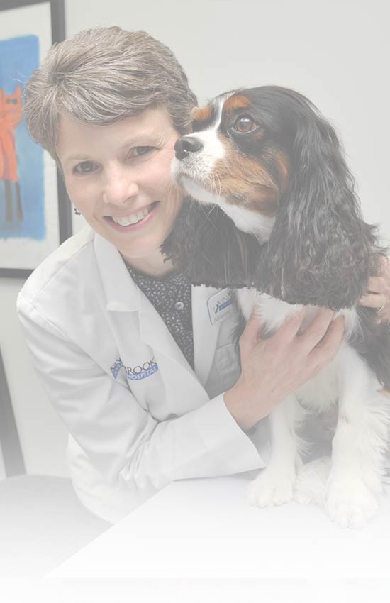 Kingsbrook Animal Hospital Veterinarian In Frederick Md