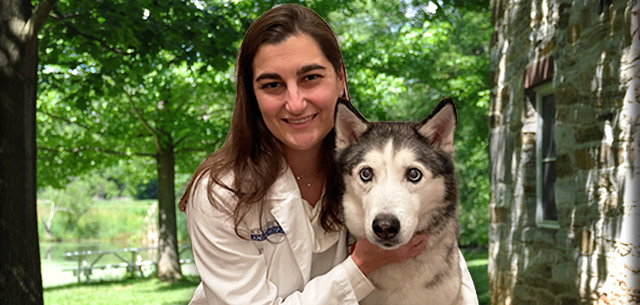 Meet Dr. Leslie Breitinger a veterinarian at Kingsbrook Animal Hospital
