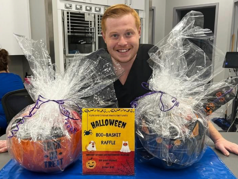 Boo Baskets for Pets