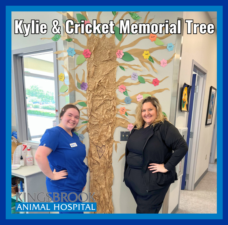 Kylie and Cricket Memorial Fund Tree